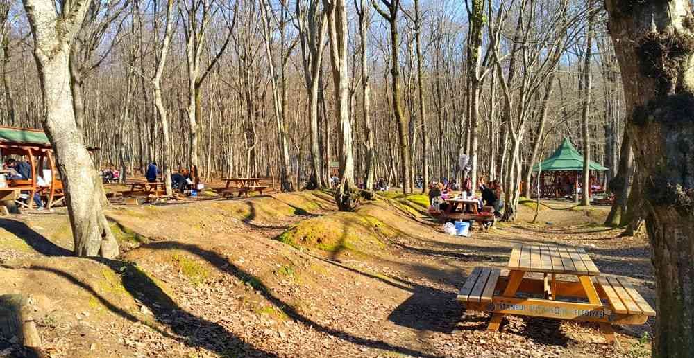 belgrad ormanı piknik ve mangal